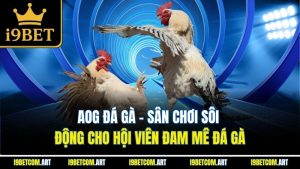 AOG Đá Gà - Sân Chơi Sôi Động Cho Hội Viên Đam Mê Đá Gà