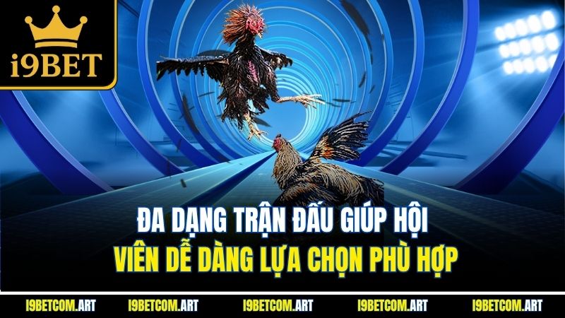da-dang-tran-dau-giup-hoi-vien-de-dang-lua-chon-phu-hop