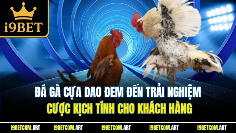 da-ga-cua-dao-dem-den-trai-nghiem-cuoc-kich-tinh-cho-khach-hang