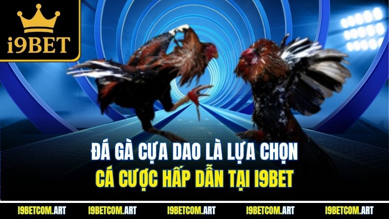 da-ga-cua-dao-la-lua-chon-ca-cuoc-hap-dan-tai-i9bet