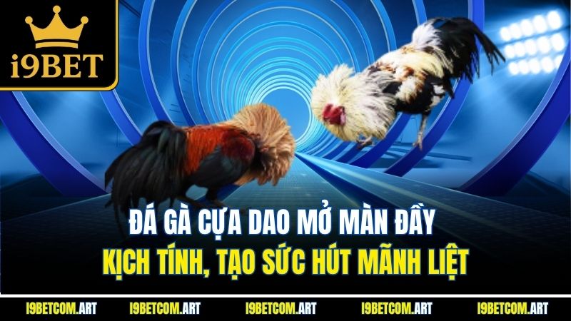 da-ga-cua-dao-mo-man-day-kich-tinh-tao-suc-hut-manh-liet