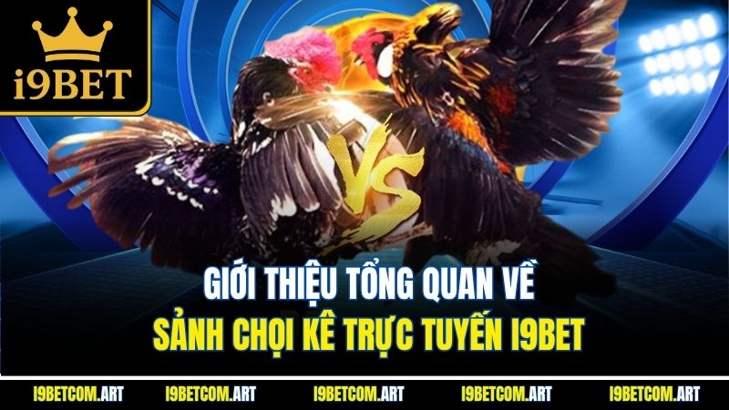 gioi-thieu-tong-quan-ve-sanh-choi-ke-truc-tuyen-i9bet