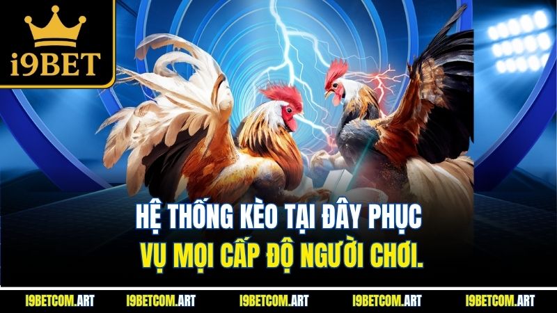 he-thong-keo-tai-day-phuc-vu-moi-cap-do-nguoi-choi
