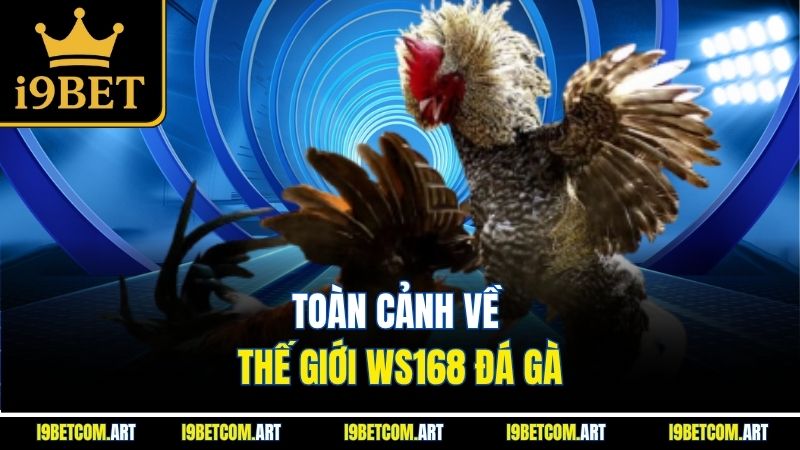 toan-canh-ve-the-gioi-ws168-da-ga