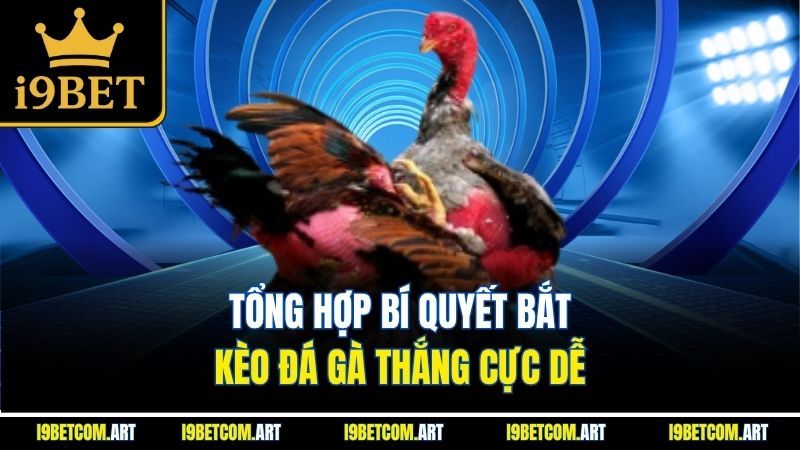 tong-hop-bi-quyet-bat-keo-da-ga-thang-cuc-de