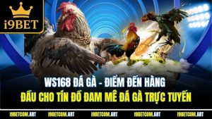 Ws168 Đá Gà | Điểm Đến Hàng Đầu Cho Tín Đồ Đam Mê Đá Gà Trực Tuyến