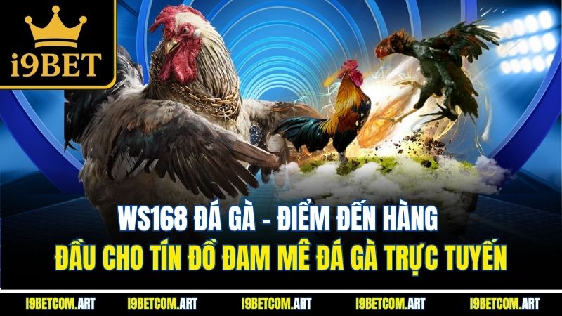 Ws168 Đá Gà | Điểm Đến Hàng Đầu Cho Tín Đồ Đam Mê Đá Gà Trực Tuyến